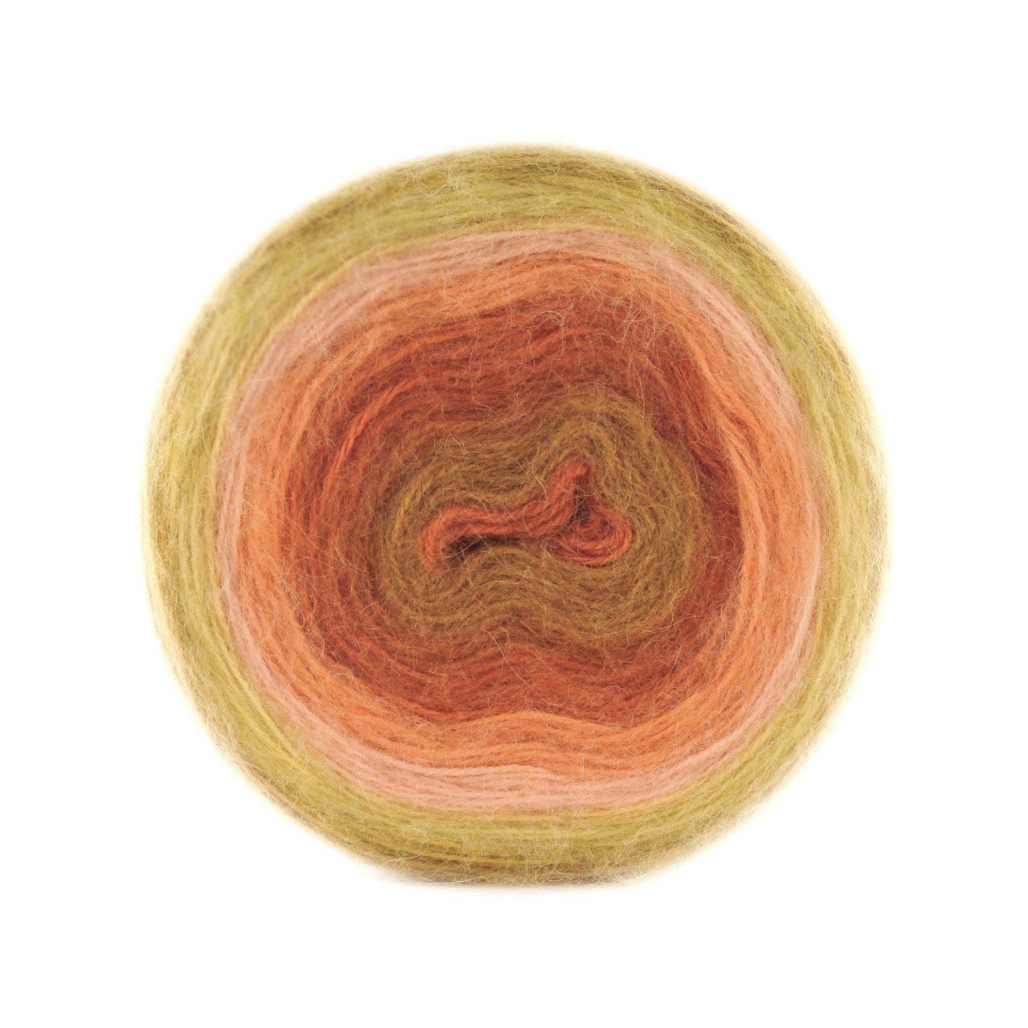 Papatya - Cake Angora - kol.613