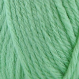 Papatya - Chunky Wool - kol.6530