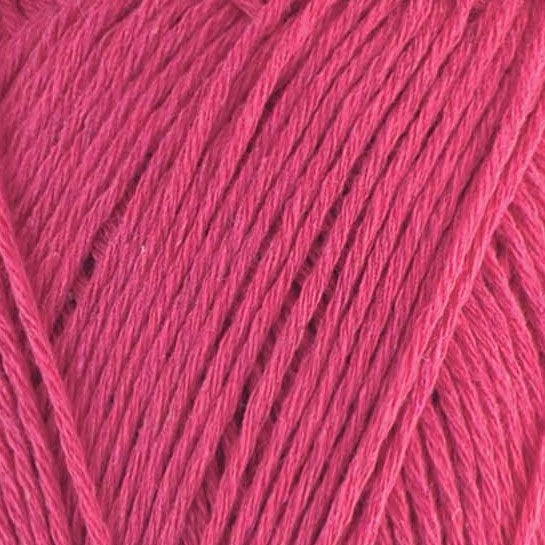 Papatya - EcoLogical Cotton - kol.402